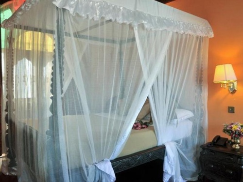 Dhow Palace Hotel image 30